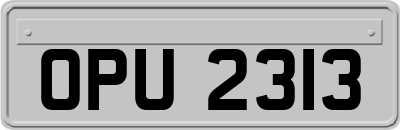 OPU2313