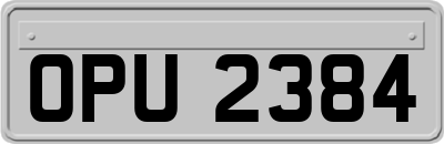 OPU2384