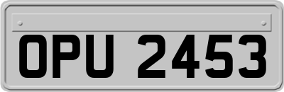 OPU2453