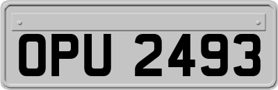 OPU2493