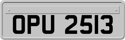 OPU2513