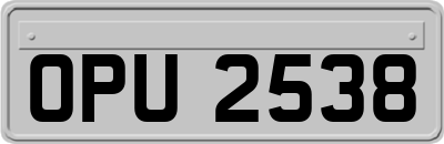 OPU2538