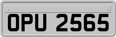 OPU2565