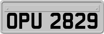 OPU2829