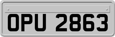 OPU2863