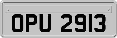 OPU2913