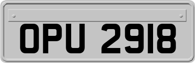OPU2918
