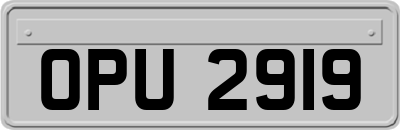 OPU2919