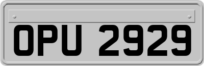 OPU2929