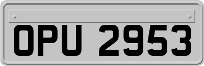 OPU2953