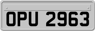OPU2963