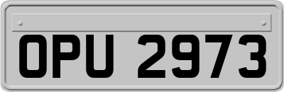 OPU2973