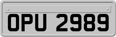 OPU2989