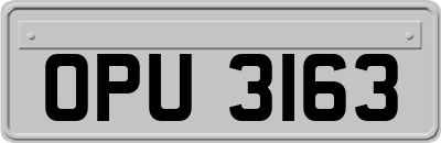 OPU3163