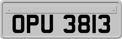 OPU3813