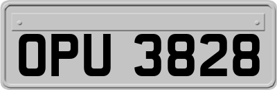 OPU3828
