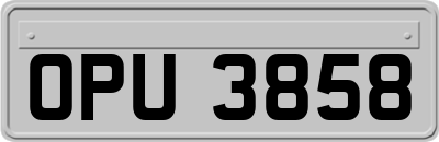 OPU3858