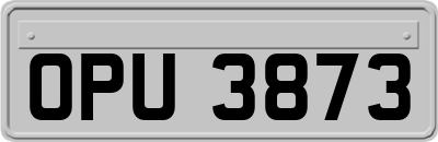 OPU3873