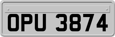 OPU3874
