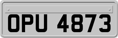 OPU4873