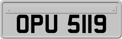 OPU5119