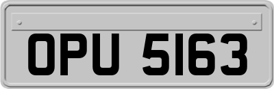 OPU5163