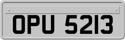 OPU5213