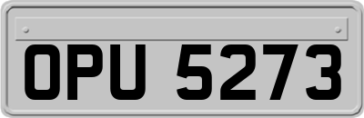 OPU5273