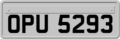 OPU5293