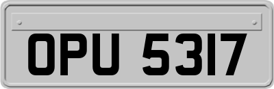 OPU5317