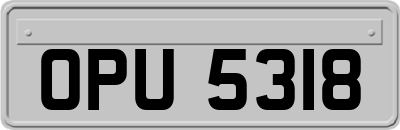 OPU5318