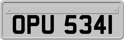 OPU5341