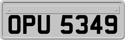 OPU5349