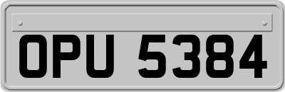 OPU5384