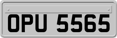 OPU5565