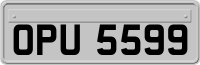 OPU5599
