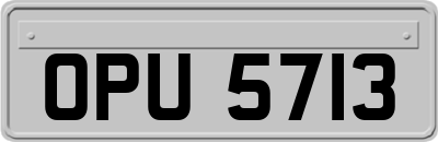 OPU5713