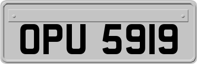 OPU5919