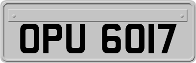 OPU6017