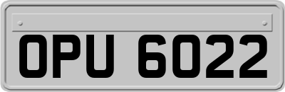 OPU6022