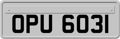 OPU6031