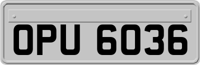 OPU6036