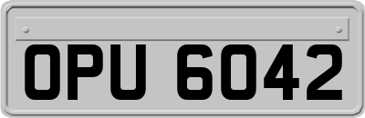 OPU6042