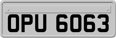 OPU6063