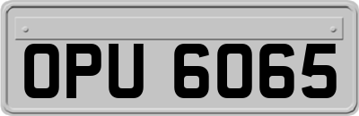 OPU6065
