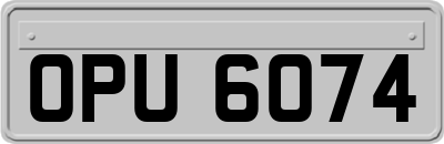 OPU6074