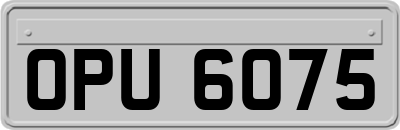 OPU6075