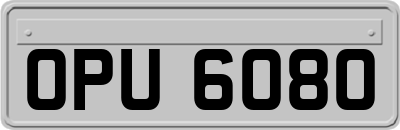 OPU6080