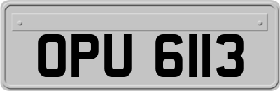 OPU6113
