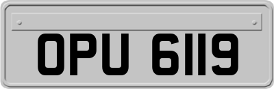 OPU6119